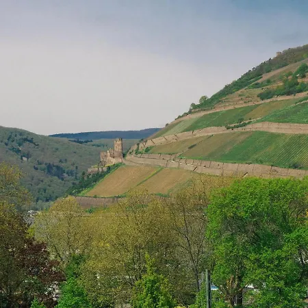 Rheinufer Am Hindenburgpark