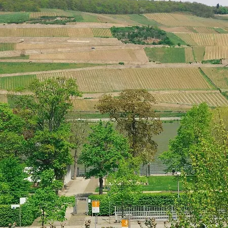 Rheinufer Am Hindenburgpark Appartamento