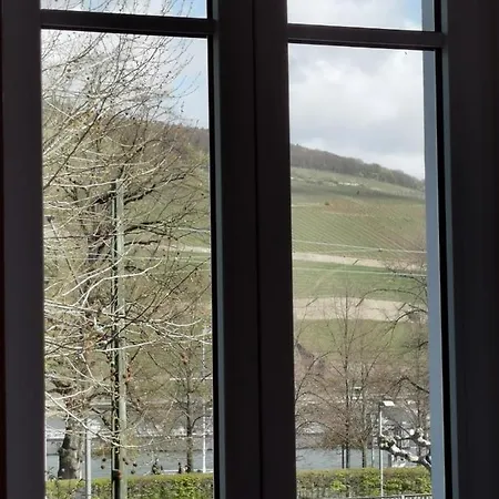 Rheinufer Am Hindenburgpark Bingen am Rhein
