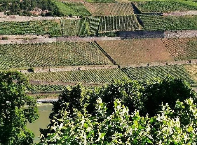 Apartment Rheinufer Am Hindenburgpark