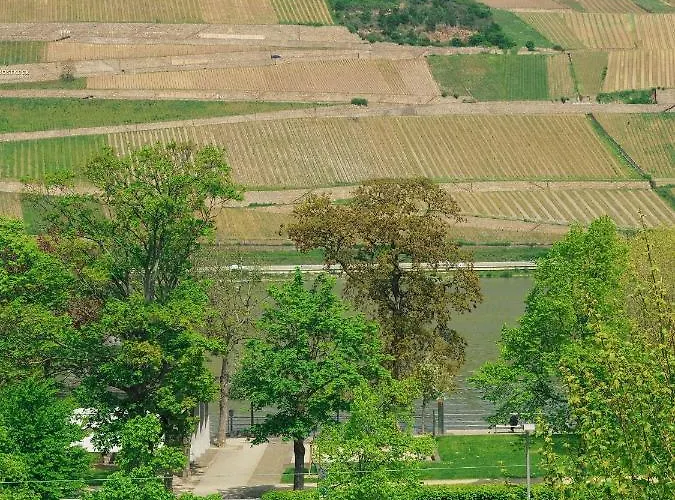 Rheinufer Am Hindenburgpark Apartment